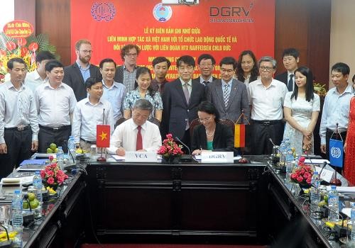 MoU signed between ILO and Vietnam Cooperative Alliance to raise cooperatives’ capability - ảnh 1